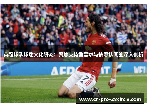 英超球队球迷文化研究：聚焦支持者需求与情感认同的深入剖析