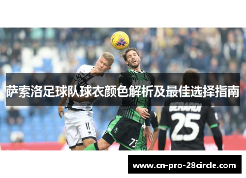 萨索洛足球队球衣颜色解析及最佳选择指南