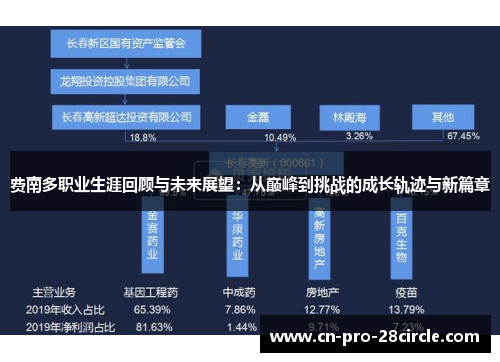 费南多职业生涯回顾与未来展望：从巅峰到挑战的成长轨迹与新篇章