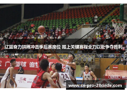 辽篮奋力拼搏冲击季后赛席位 踏上关键赛程全力以赴争夺胜利