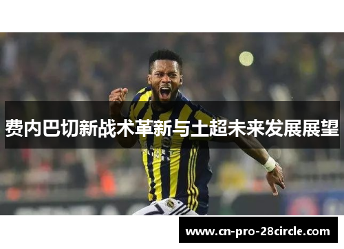 费内巴切新战术革新与土超未来发展展望