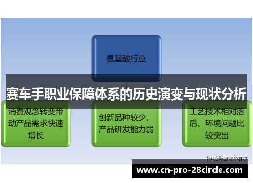 赛车手职业保障体系的历史演变与现状分析 赛车手职业保障体系的历史演变与现状分析