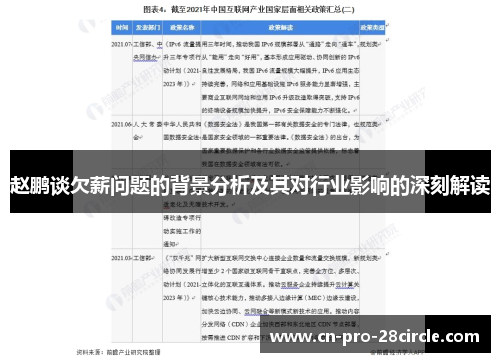 赵鹏谈欠薪问题的背景分析及其对行业影响的深刻解读