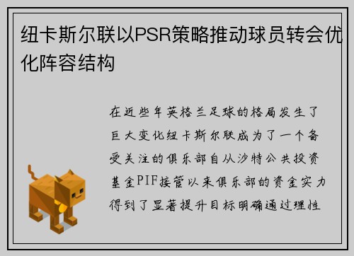 纽卡斯尔联以PSR策略推动球员转会优化阵容结构 纽卡斯尔联以PSR策略推动球员转会优化阵容结构