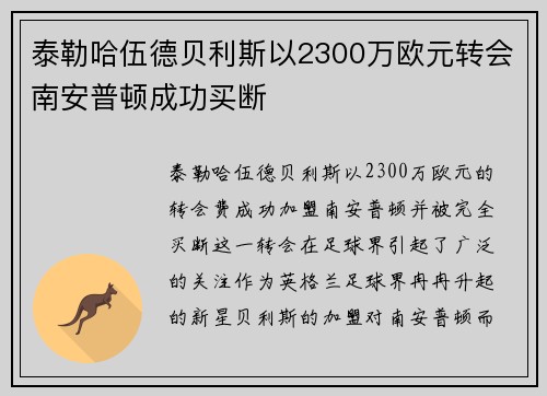 泰勒哈伍德贝利斯以2300万欧元转会南安普顿成功买断